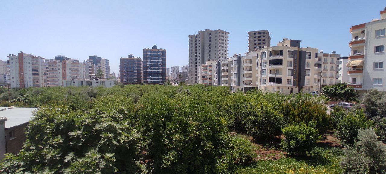 great apartment at a low price